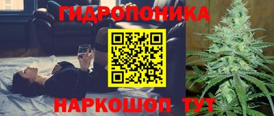 соль ск Кулебаки